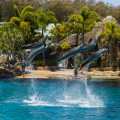 Sea-World Schau, Surfers Paradise, Australien