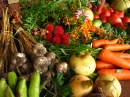 Ökologisch angebautes Gemüse