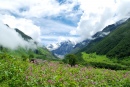 Alpenwiesen in den Himalaya