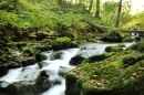 Wasserfälle Caldbeck, Cumbria, Vereinigtes Königreich