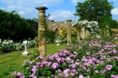 Rosengärten im Schloss Hever Castle, England