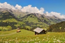 Berner Oberland im Sommer