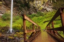 Der Elowah Falls Wasserfall in Warrendale, Oregon
