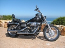Mein Harley-Davidson Dyna Street Bob