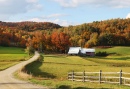Jenne-Bauernhof in Reading, Vermont