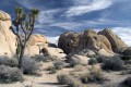 Joshua-Tree-Nationalpark