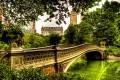Bogenbrücke, Central Park, New York