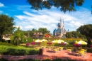 Walt Disney Welt Urlaubsort
