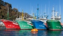 Boote im Fontarabie Harbor, Spanien