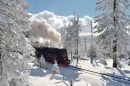 Dampflokomotive, Harz