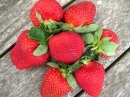 Erdbeeren auf dem Picknicktisch