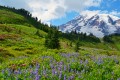 Mount-Rainier-Nationalpark