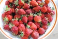 Erdbeeren