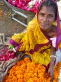 Blumenverkäuferin auf dem Indischen Bazar