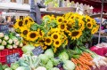 Sonnenblumen auf dem Bauernmarkt
