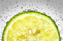 Zitronen-Frische