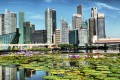 Lotusblumen und Singapur-Horizont