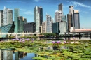 Lotusblumen und Singapur-Horizont