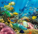 Korallenriff mit Tropischen Fischen