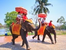 Elefantenritt in Ayutthaya, Thailand