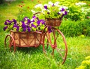 Altes Fahrrad mit einem Korb voller Blumen