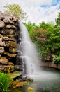 Wasserfall im Zoo Washington DC