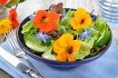 Frischer Sommersalat mit Kapuzinerkressen