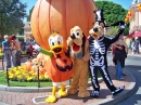 Donald, Pluto und Goofy