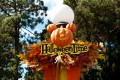 Halloween in Disneyland