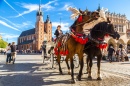 Pferdekutschen in Krakau, Polen