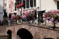 Kanalbrücke mit Blumen, Den Haag