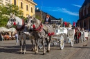 Pferdekutschen in Krakau