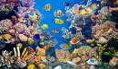 Buntes Aquarium