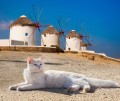 Mykonos, Griechenland