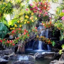 Wasserfall in dem Garten