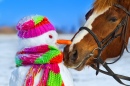 Pferd und Schneemann