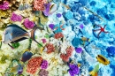 Wunderschöne Unterwasserwelt
