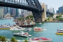 Großsegler-Rennen in Sydney