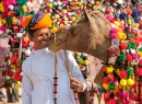 Kamel und sein Besitzer, Pushkar, Indien
