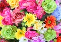 Helle Bunte Blumen