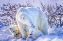 Eisbär mit Kindern