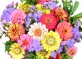 Blumenstrauß mit Zinnien und Dahlien