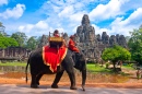 Elefant im Angkor Wat, Kambodscha