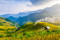 Reisterrassen in Mu Cang Chai, Vietnam