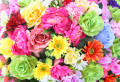 Helle bunte Blumen