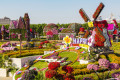 Dubai Miracle Garden, VAE