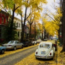 Herbst in DC