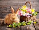 Kleines Kaninchen mit Frühlingsblumen