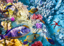 Koralle und tropische Fische