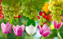 Tulpen und Trauben